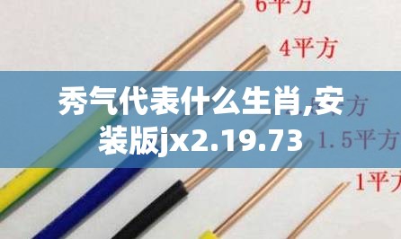 秀气代表什么生肖,安装版jx2.19.73