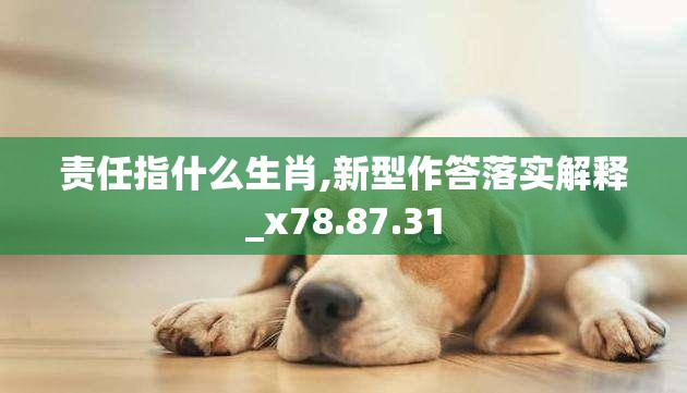 责任指什么生肖,新型作答落实解释_x78.87.31