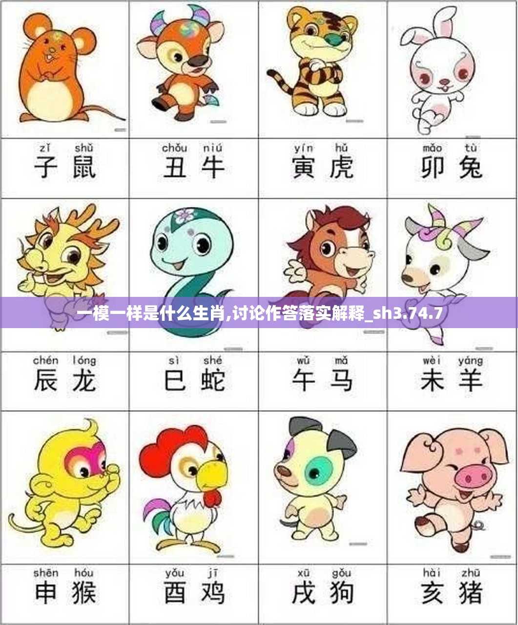 一模一样是什么生肖,讨论作答落实解释_sh3.74.7