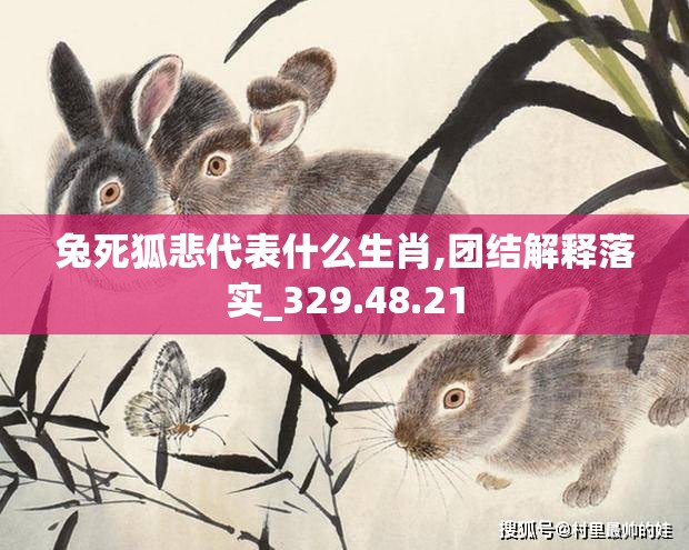 兔死狐悲代表什么生肖,团结解释落实_329.48.21