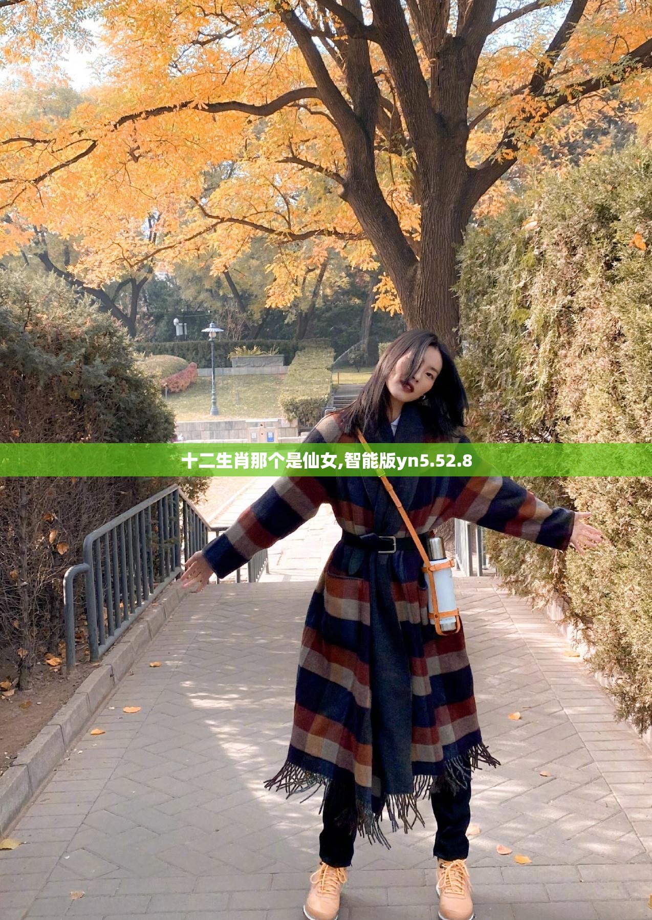 十二生肖那个是仙女,智能版yn5.52.8