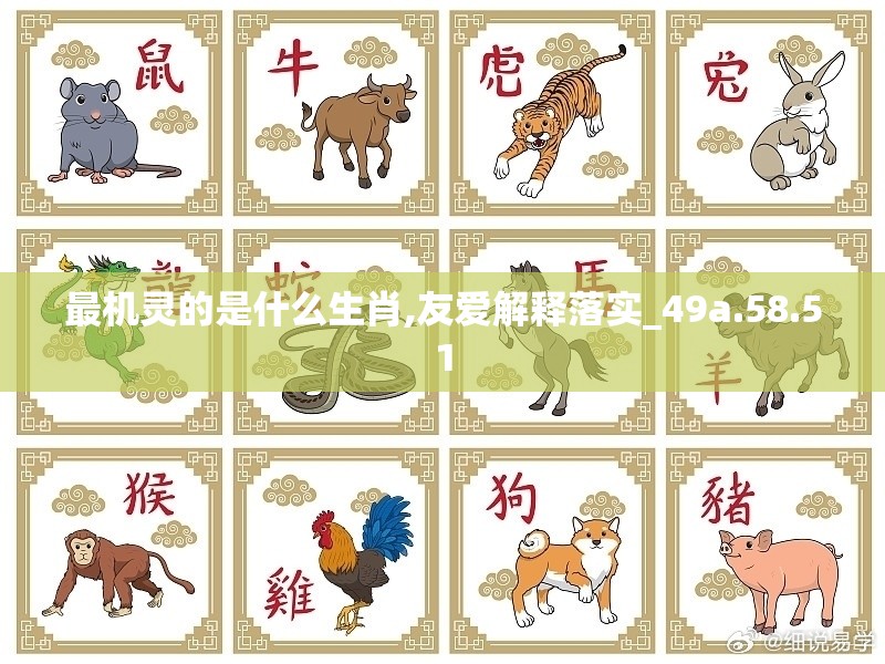 最机灵的是什么生肖,友爱解释落实_49a.58.51
