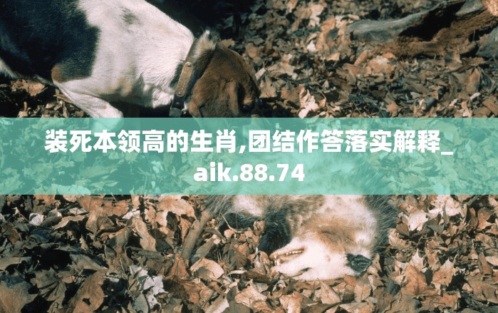 装死本领高的生肖,团结作答落实解释_aik.88.74