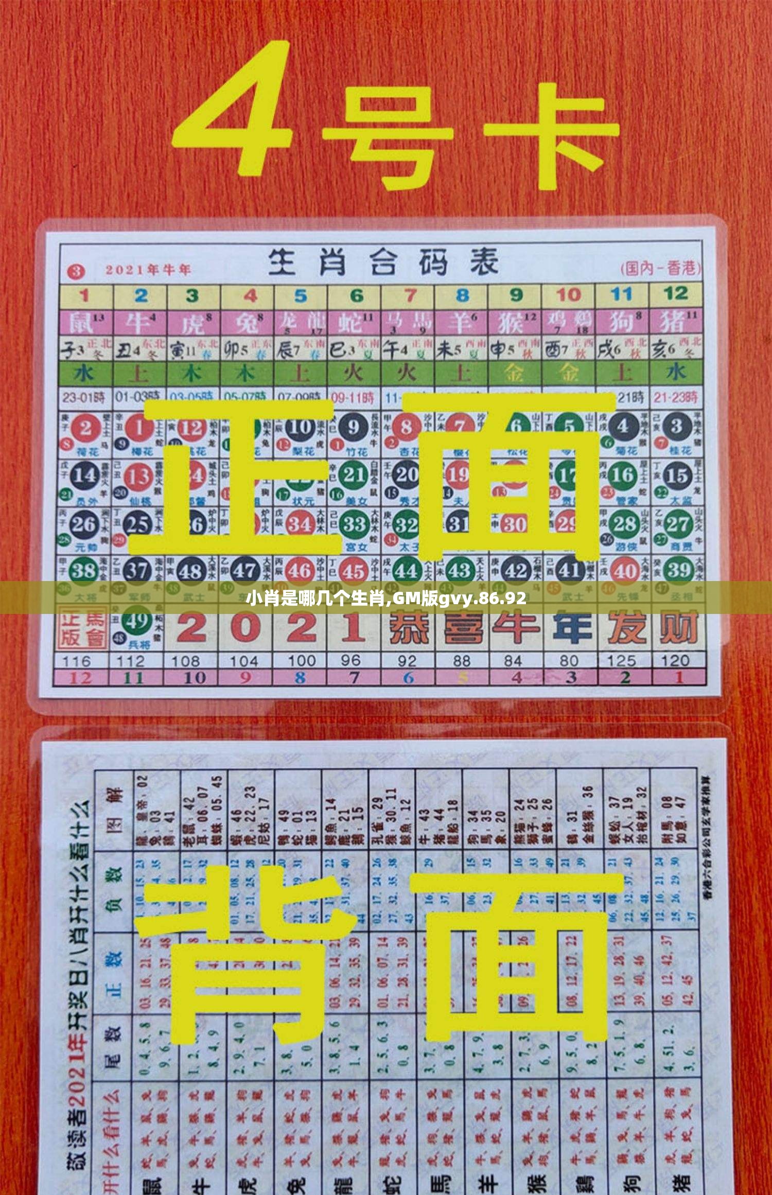 小肖是哪几个生肖,GM版gvy.86.92