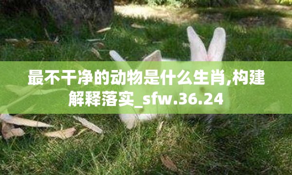 最不干净的动物是什么生肖,构建解释落实_sfw.36.24