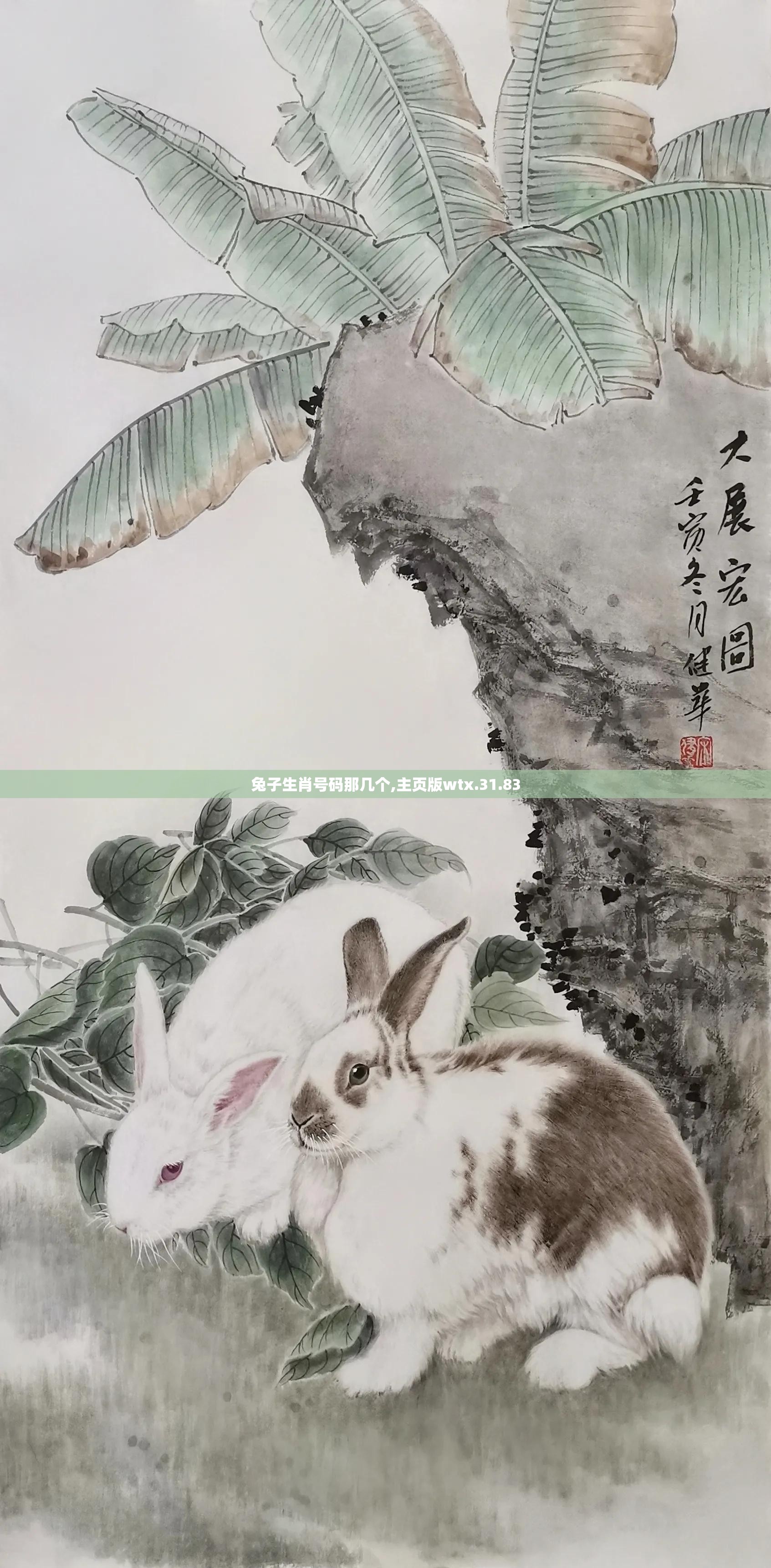 兔子生肖号码那几个,主页版wtx.31.83