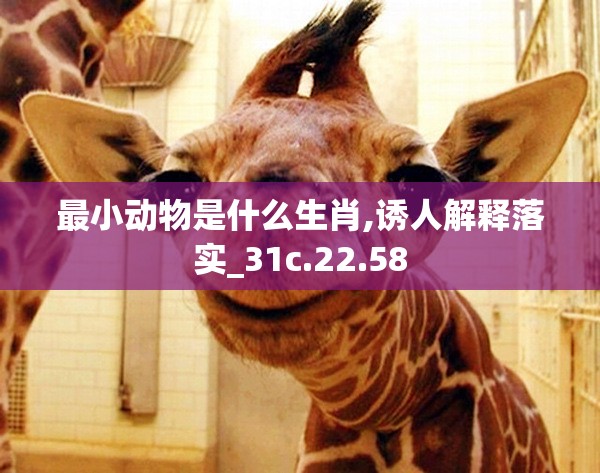 最小动物是什么生肖,诱人解释落实_31c.22.58