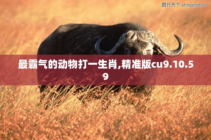 最霸气的动物打一生肖,精准版cu9.10.59