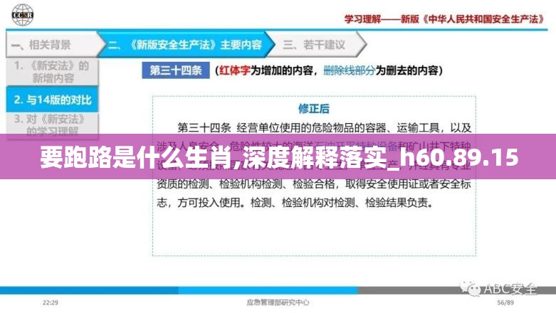 要跑路是什么生肖,深度解释落实_h60.89.15