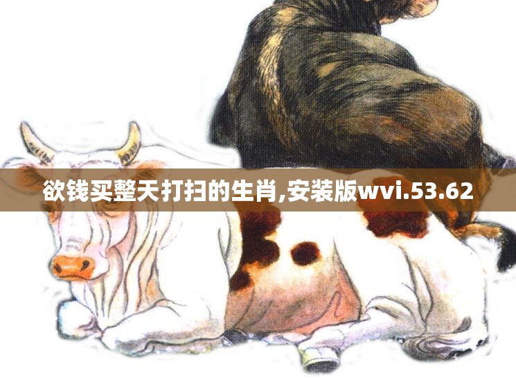 欲钱买整天打扫的生肖,安装版wvi.53.62