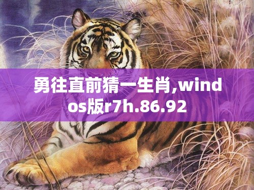 勇往直前猜一生肖,windos版r7h.86.92
