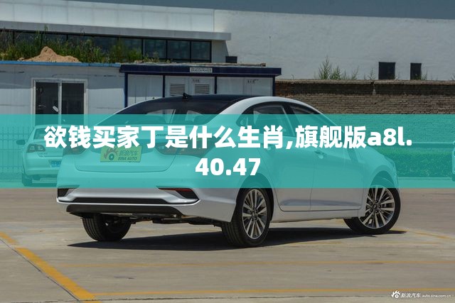 欲钱买家丁是什么生肖,旗舰版a8l.40.47