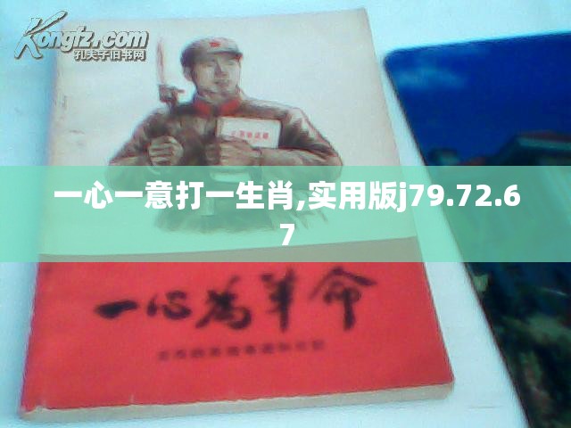 一心一意打一生肖,实用版j79.72.67