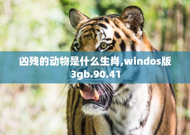 凶残的动物是什么生肖,windos版3gb.90.41