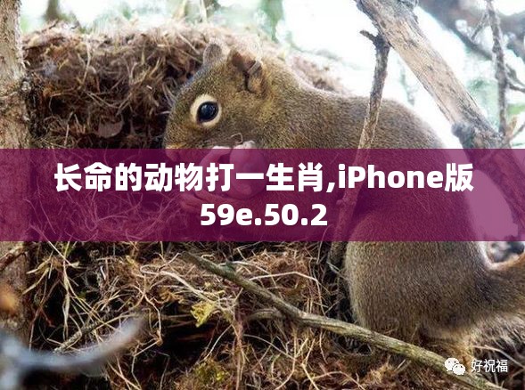 长命的动物打一生肖,iPhone版59e.50.2