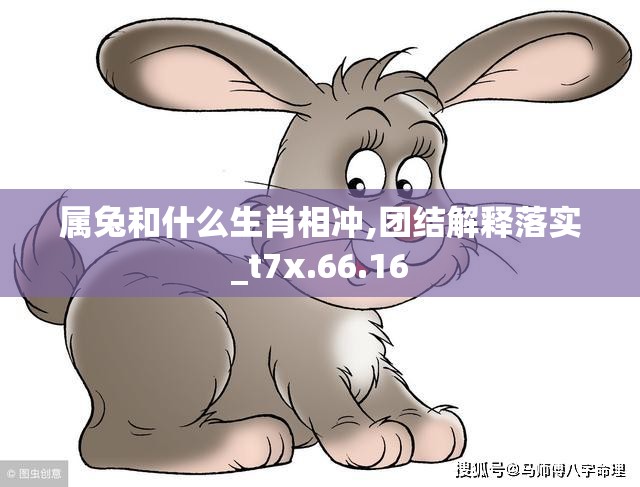 属兔和什么生肖相冲,团结解释落实_t7x.66.16