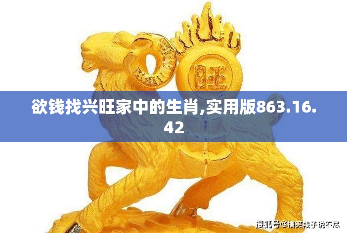欲钱找兴旺家中的生肖,实用版863.16.42