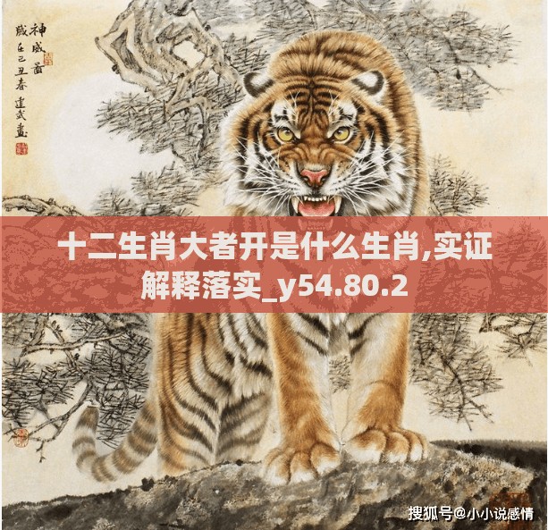 十二生肖大者开是什么生肖,实证解释落实_y54.80.2