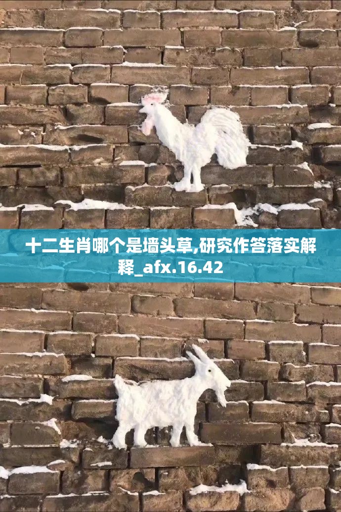 十二生肖哪个是墙头草,研究作答落实解释_afx.16.42