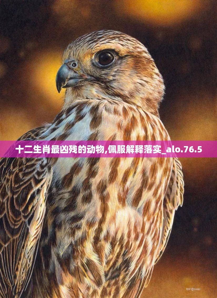 十二生肖最凶残的动物,佩服解释落实_alo.76.5