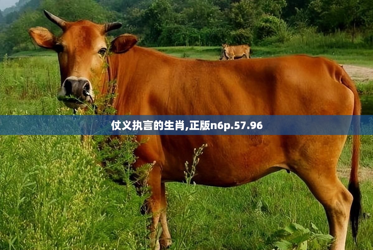 仗义执言的生肖,正版n6p.57.96