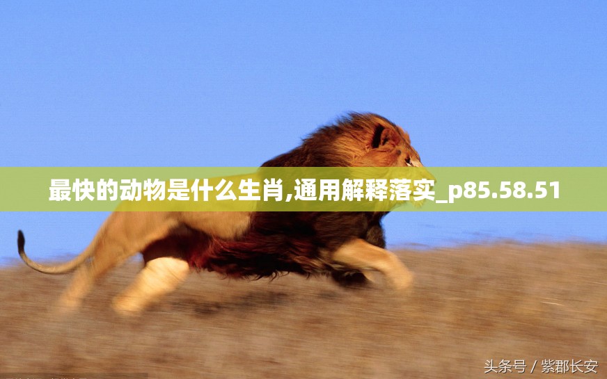 最快的动物是什么生肖,通用解释落实_p85.58.51