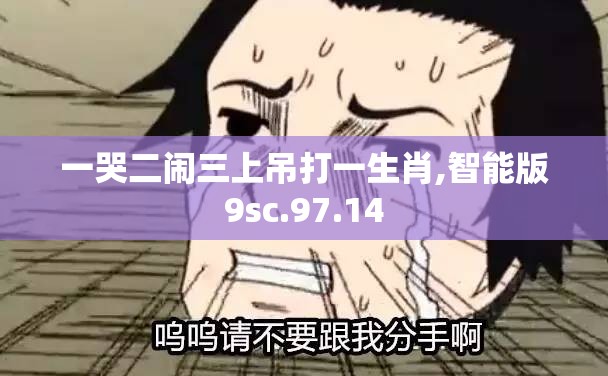一哭二闹三上吊打一生肖,智能版9sc.97.14