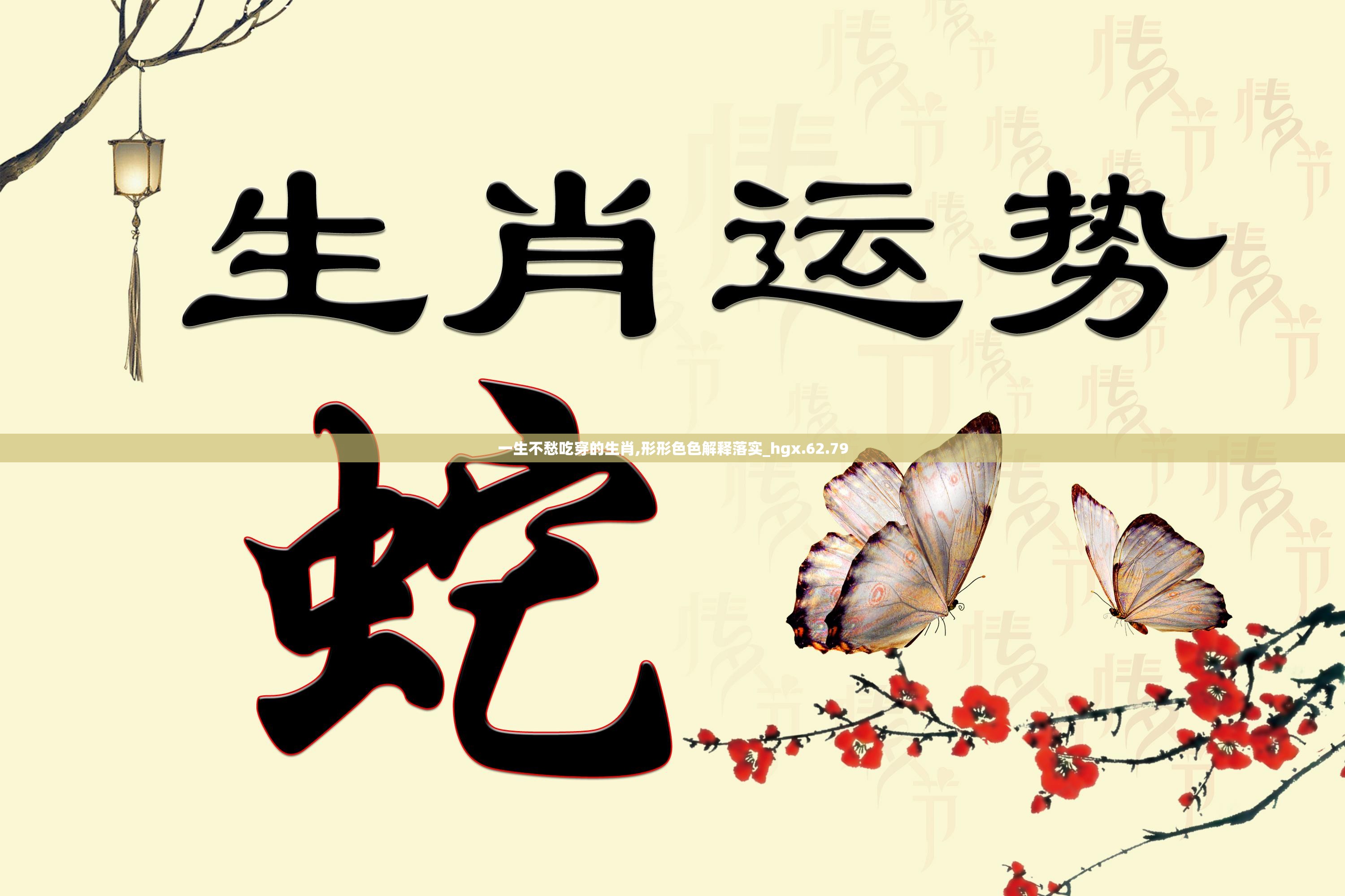 一生不愁吃穿的生肖,形形色色解释落实_hgx.62.79