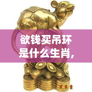 欲钱买吊环是什么生肖,手机版9y3.72.67