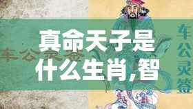 真命天子是什么生肖,智能版r6d.66.16