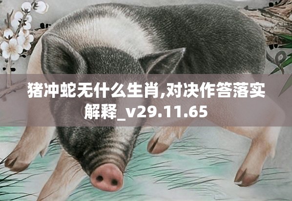 猪冲蛇无什么生肖,对决作答落实解释_v29.11.65