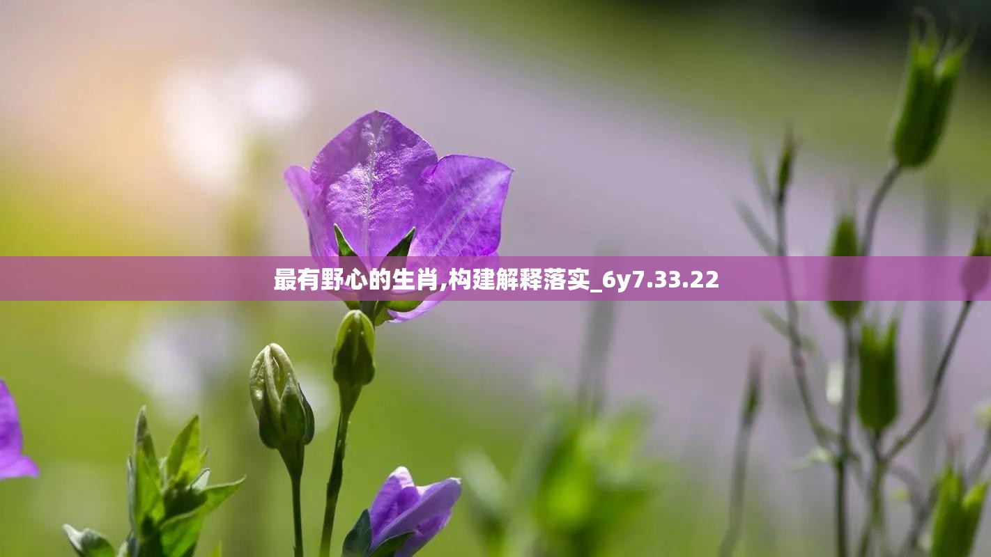 最有野心的生肖,构建解释落实_6y7.33.22