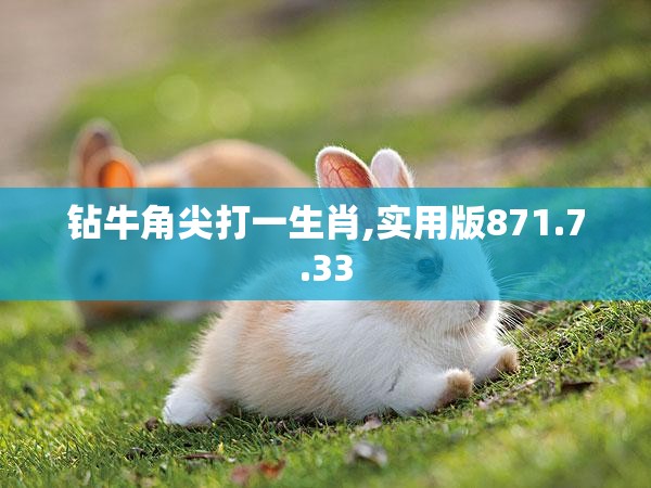 钻牛角尖打一生肖,实用版871.7.33