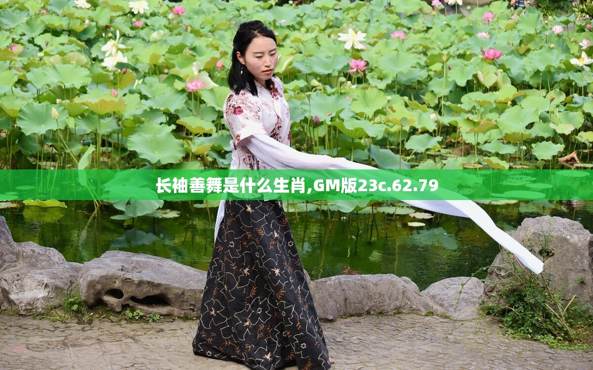 长袖善舞是什么生肖,GM版23c.62.79